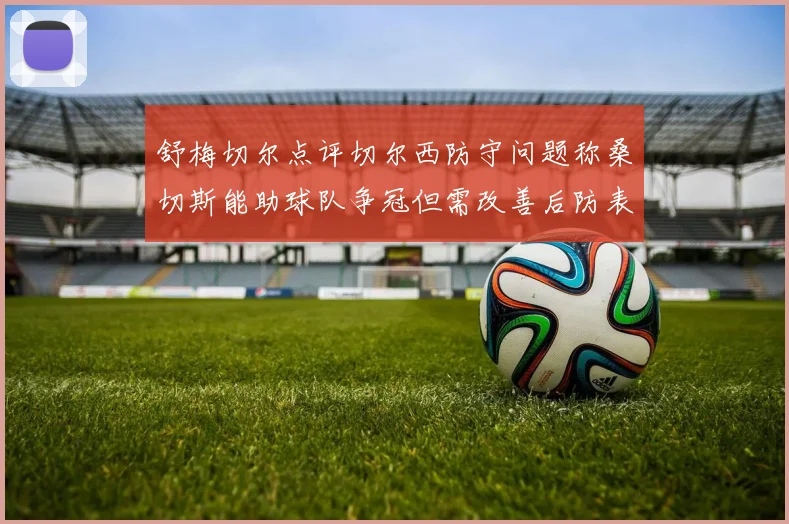 舒梅切尔点评切尔西防守问题称桑切斯能助球队争冠但需改善后防表现