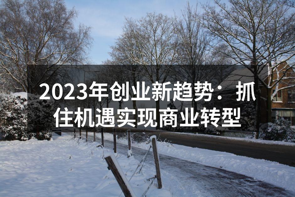 2023年创业新趋势：抓住机遇实现商业转型