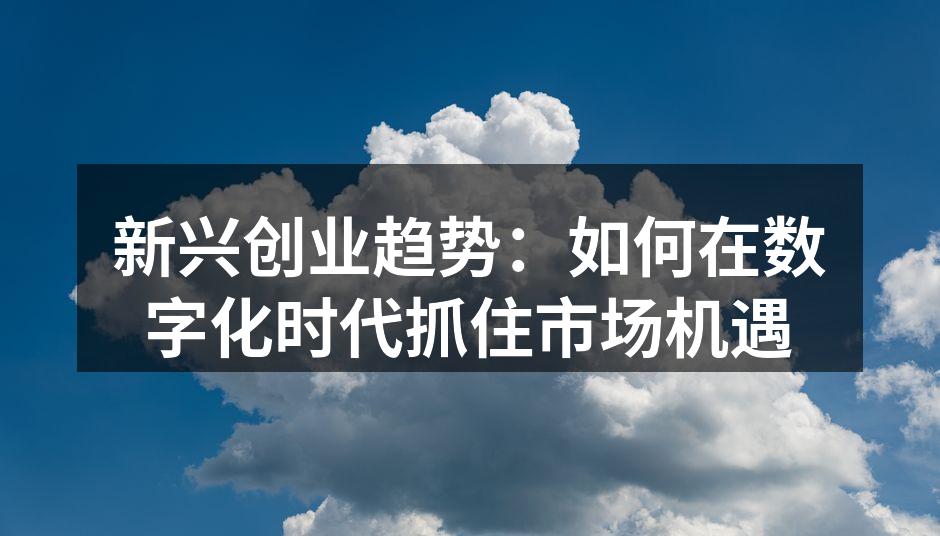 新兴创业趋势：如何在数字化时代抓住市场机遇